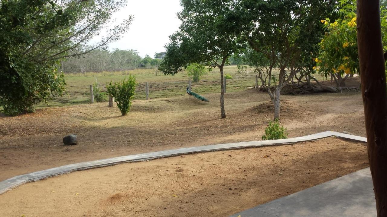 Taragala Chalets Kalametiya 外观 照片